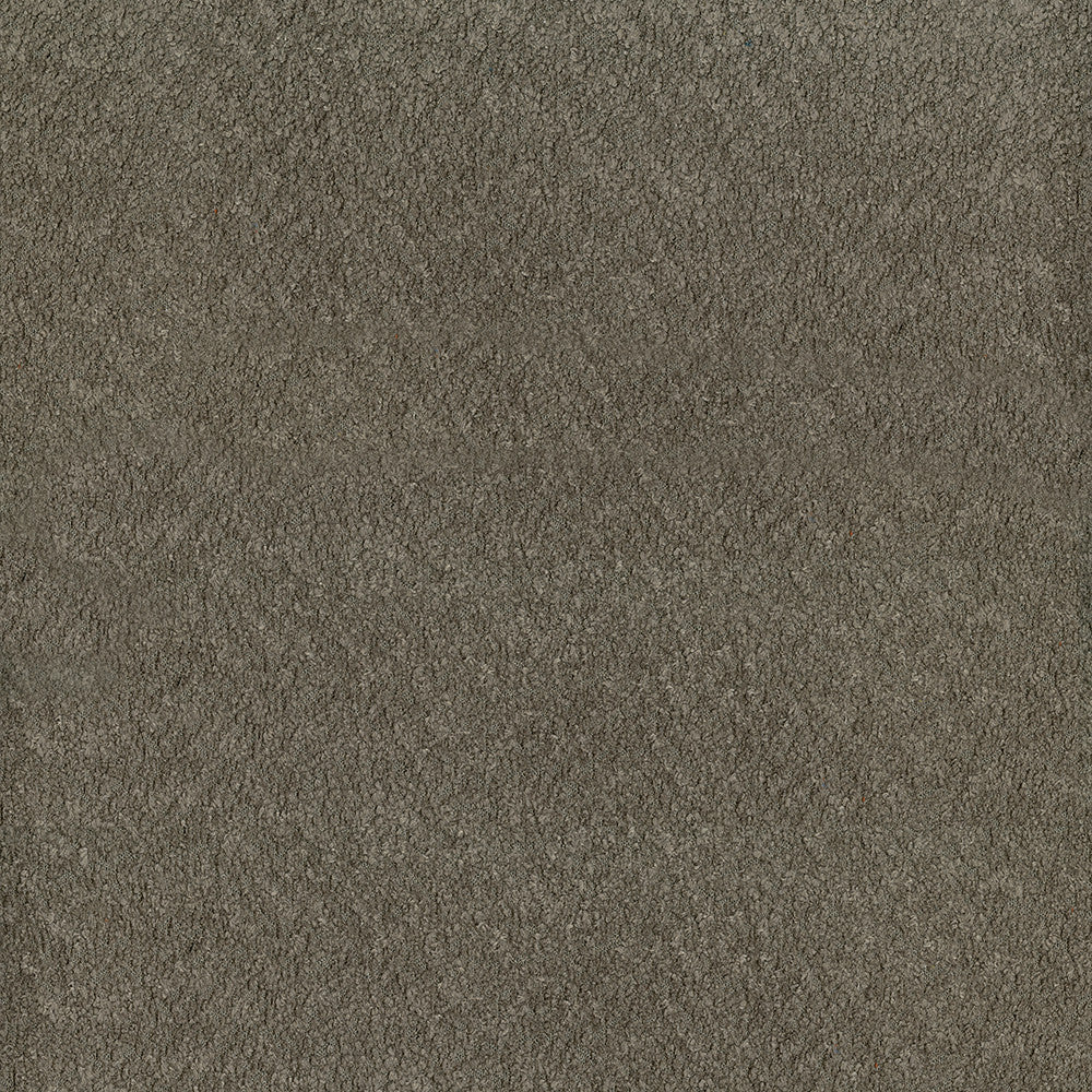 Felicity 804 Mushroom by ABBEYSHEA Designer Fabric 100% Polyester CN 160,000 Double Rubs (Wyzenbeek) </p><p>Repeat: Horizontal: and Vertical: 55 in. (140 cm) - Swanky Fabrics -
