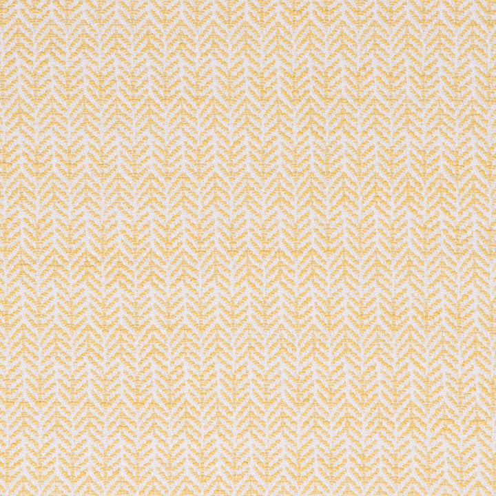 Festoon Lemon by Bella-Dura Designer Fabric  100% HIGH UV POLYESTER USA 80,000 H: .75" V: 2" 56.25"  - Swanky Fabrics -