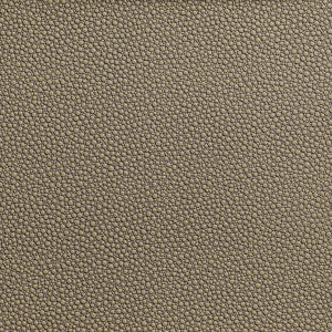 Fetch Hemp by Kravet Contract Designer Fabric