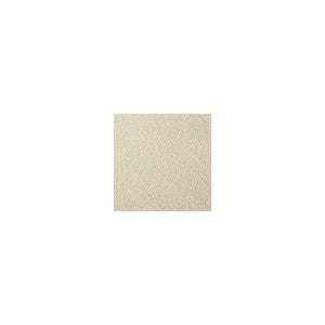 Fetch Champagne by Kravet Contract Designer Fabric