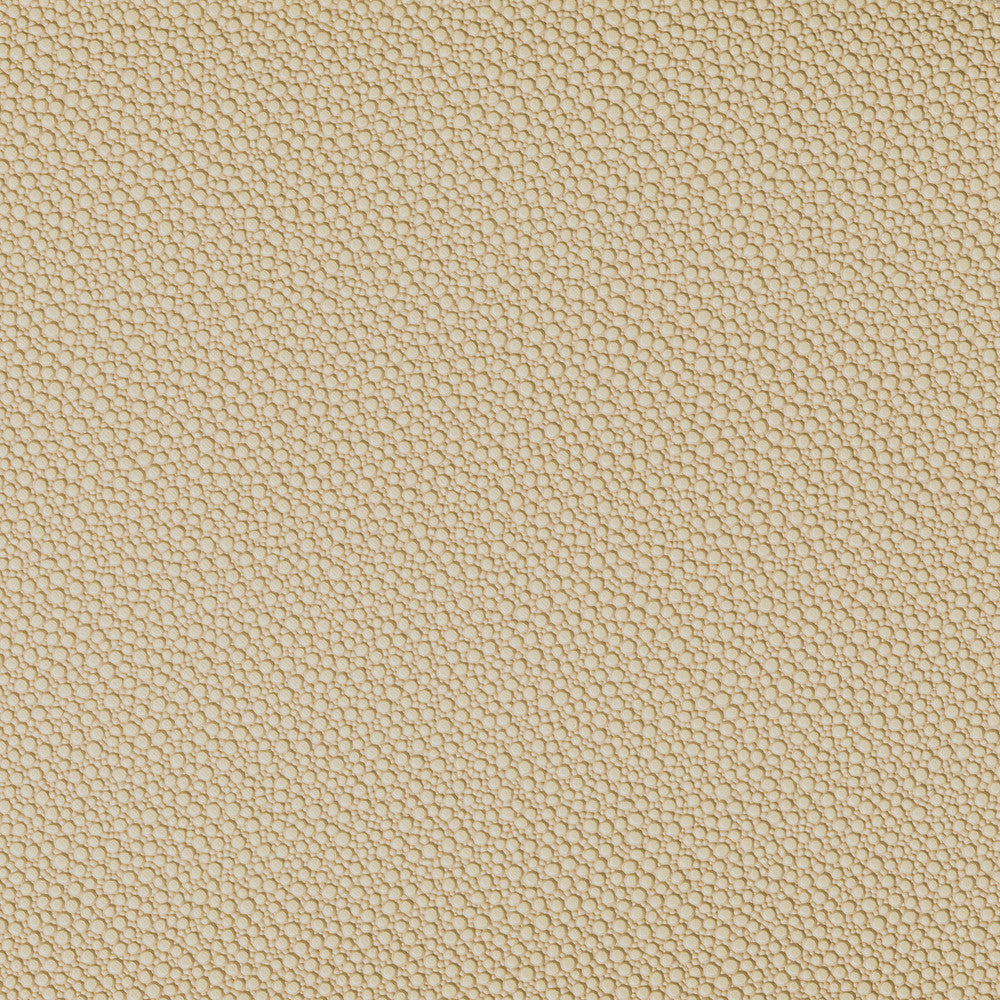 Fetch Sandbar by Kravet Contract Fabric Kravet Contract Fabric Fetch SandbarFabric FOUNDATIONS / VALUE POLY VINYL CHLORIDE - 100% China </p><p>Repeat: H: 0, V: 0 54 - Fabric Carolina -