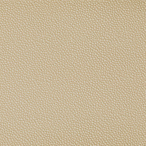 Fetch Sandbar by Kravet Contract Designer Fabric