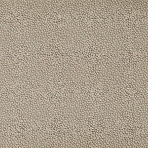 Fetch Stone by Kravet Contract Designer Fabric
