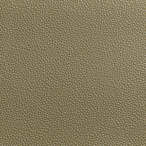 Fetch Radiant by Kravet Contract Designer Fabric