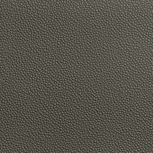 Fetch Granite by Kravet Contract Designer Fabric