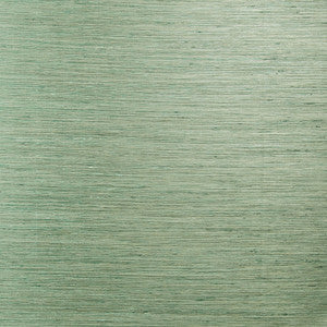 Finish Line # 895 Spa by Maxwell Designer Fabric