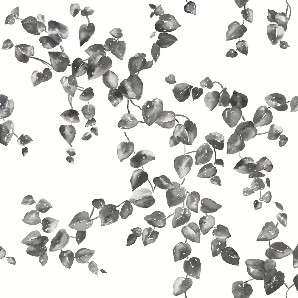 Creeping Fig Vine Black & White Wallpaper by York Wallcoverings Designer Simply Farmhouse Covers about 56.4 square feet 20.5-in by 33-ft long roll Unpasted 20.5 - Swanky Fabrics -