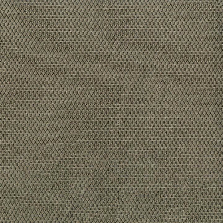 Fiera 602 Tundra by ABBEYSHEA Designer Fabric 100% Polyester CN 20,000 Double Rubs (Wyzenbeek) </p><p>Repeat: Horizontal: and Vertical: 56 in. (142 cm) - Swanky Fabrics -