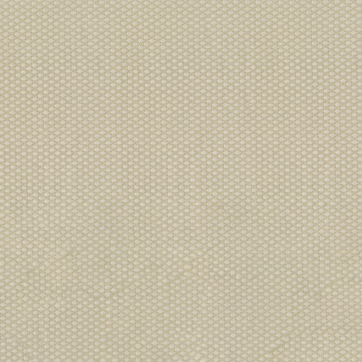 Fiera 61 Ecru by ABBEYSHEA Designer Fabric 100% Polyester CN 20,000 Double Rubs (Wyzenbeek) </p><p>Repeat: Horizontal: and Vertical: 56 in. (142 cm) - Swanky Fabrics -