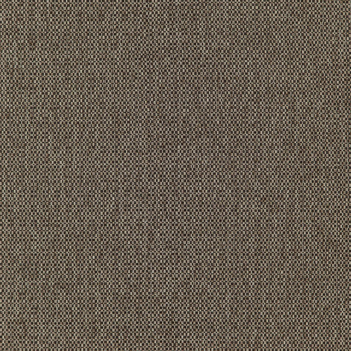 Fierce 38J7391 by JF Designer Fabric Winning Weaves VII- Wovens - Faux Suede Book 100% Polyester China 42000 Horizontal: and Vertical: 58 - Swanky Fabrics -
