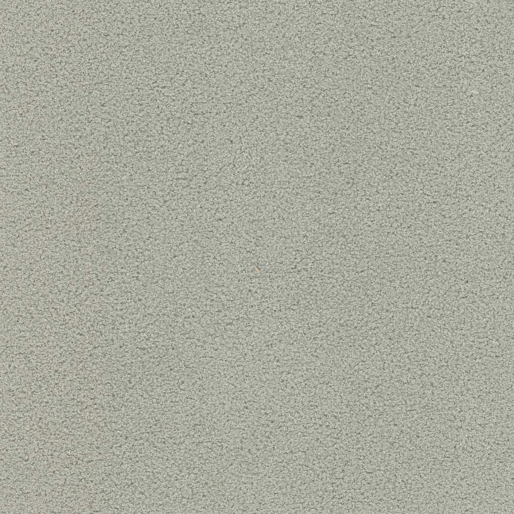 Finnerty 1 Grey by Stout Designer Fabric LIVING IS EASY GREY/SLATE 100%POL INDONESIA FLAME RETARDANT-U.F.A.C. CLASS 1 CATB 117-2013 WYZENBEEK 48 000 DOUBLE RUB WEAR TEST (HEAVY DUTY) Horizontal: 0.000 and Vertical: 0.000 54 in - Swanky Fabrics -