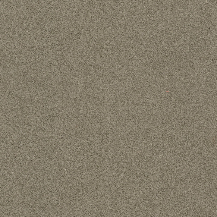 Finnerty 3 Shadow by Stout Fabric Stout Fabric Finnerty 3 ShadowFabric CLOUD NINE 100%POL INDONESIA </p><p>Repeat: H: 0.000, V: 0.000 54 in - Fabric Carolina -