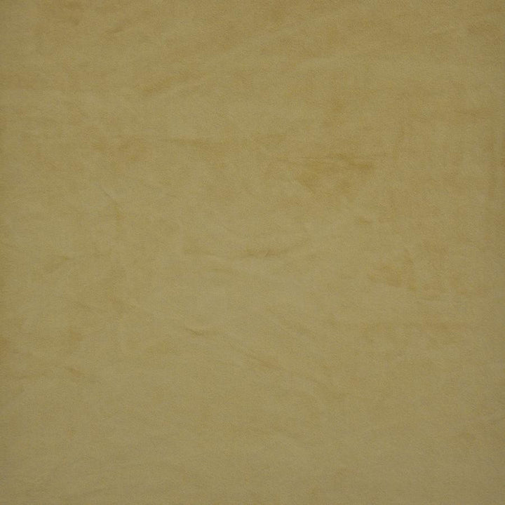 Firenze # 520 Butterscotch by Maxwell Designer Fabric Performance Velvets-Vol.Ii 100% POLYESTER TURKEY 55" - Swanky Fabrics -