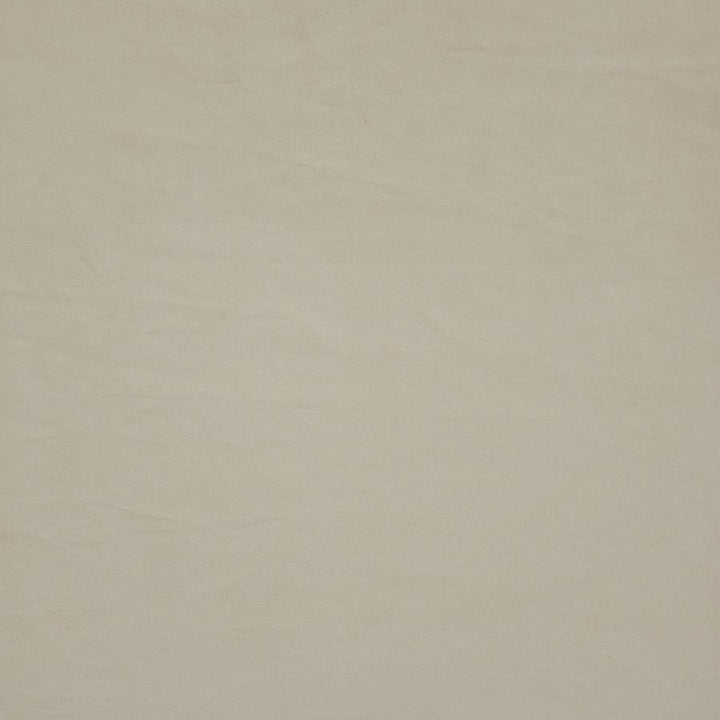 Firenze # 522 Ecru by Maxwell Designer Fabric Performance Velvets-Vol.Ii 100% POLYESTER TURKEY 55" - Swanky Fabrics -