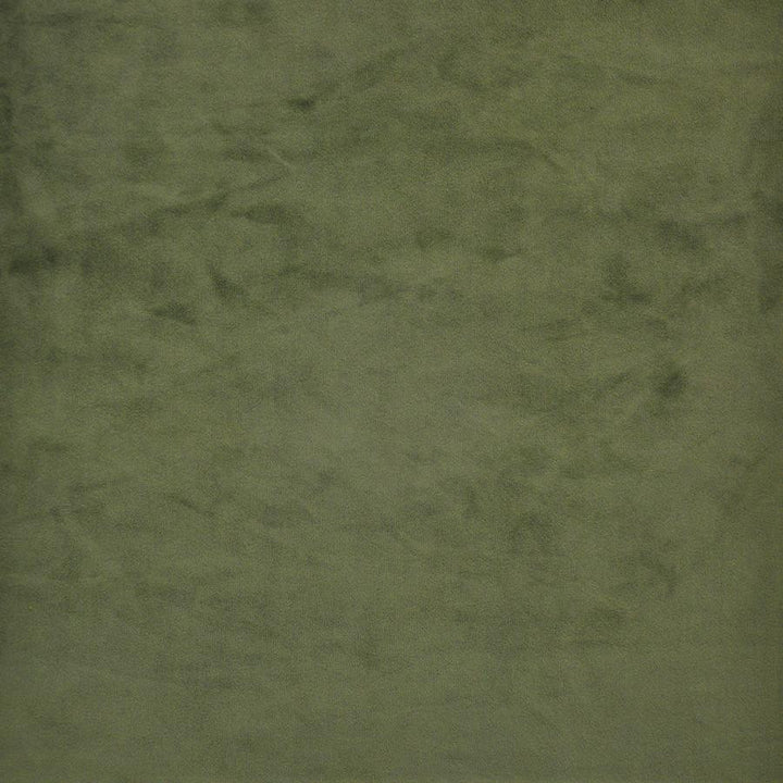 Firenze # 538 Sage by Maxwell Designer Fabric Performance Velvets-Vol.Ii 100% POLYESTER TURKEY 55" - Swanky Fabrics -
