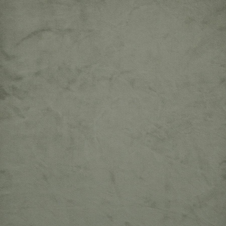 Firenze # 539 Lichen by Maxwell Designer Fabric Performance Velvets-Vol.Ii 100% POLYESTER TURKEY 55" - Swanky Fabrics -