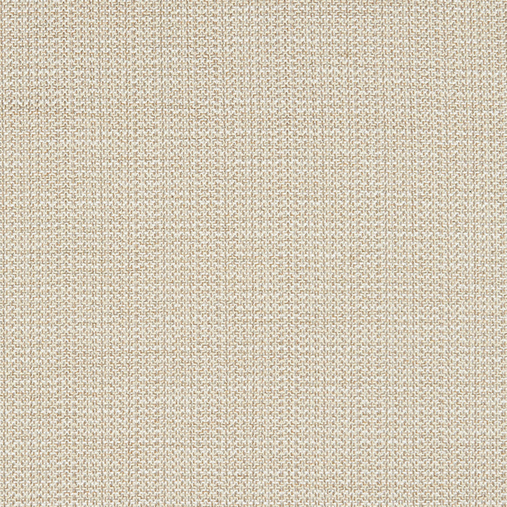 Fleming 32J8381 by JF Crypton Designer Fabric Shalimar Crypton Home 78% Cotton, 21% Rayon, 1% Nylon United States 60000 Horizontal: 0.5 and Vertical: 0.375 52 - Swanky Fabrics -
