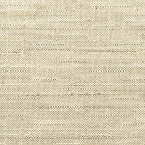 Fluid 2 Taupe by Stout Designer Fabric