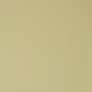 Flexa # 105 Sprout by Maxwell Designer Fabric