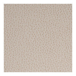 Foothill Praline FOOTHILL.1101.0 By Kravet Contract Designer Fabric