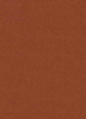 Kravet Design Fortune-24 by Kravet Design Fabric Kravet Design Fabric Kravet Design Fortune-24Fabric NYTEK - 100% Japan </p><p>Repeat: H: 0, V: 0 54 - Fabric Carolina -