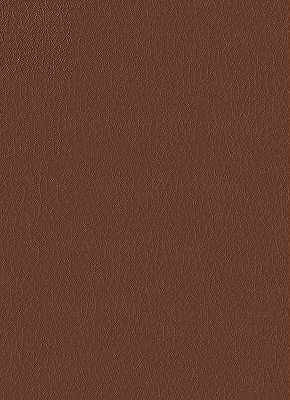 Kravet Design Fortune-6 by Kravet Design Fabric Kravet Design Fabric Kravet Design Fortune-6Fabric NYTEK - 100% Japan </p><p>Repeat: H: 0, V: 0 54 - Fabric Carolina -
