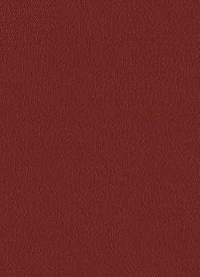Fortune-9 by Kravet Design Designer Fabric - NYTEK - 100% Japan LIGHT Horizontal: 0 and Vertical: 0 54 - Swanky Fabrics -