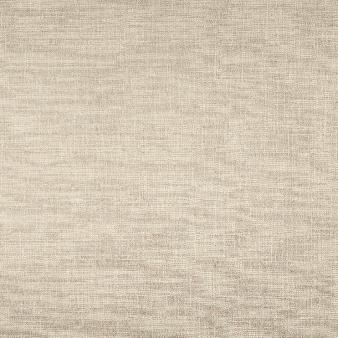 Finch # 417 Vellum by Maxwell Designer Fabric Color Theory-Vol. X Driftwood 86% POLYESTER 14% COTTON INDIA 56" - Swanky Fabrics -