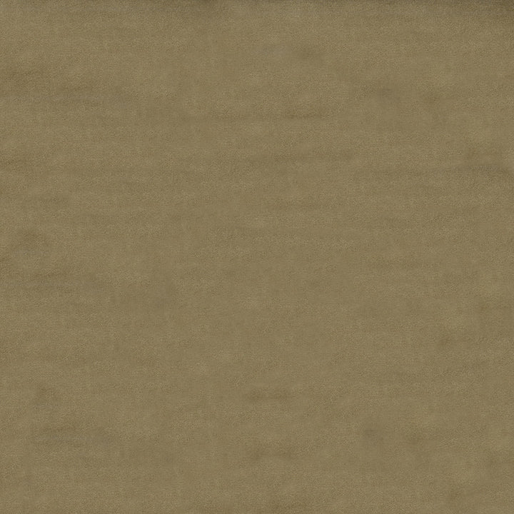 Benjamin 67 Fawn by ABBEYSHEA Designer Fabric 100% Polyester China 235,000 Double Rubs (Wyzenbeek) </p><p>Repeat: Horizontal: and Vertical: 56" (142 cm) - Swanky Fabrics -