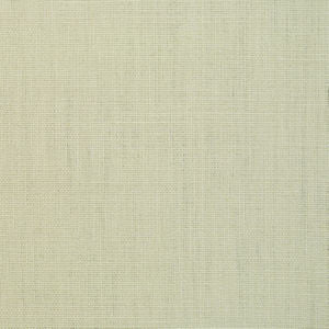 Frazzle Canvas by Norbar Designer Fabric