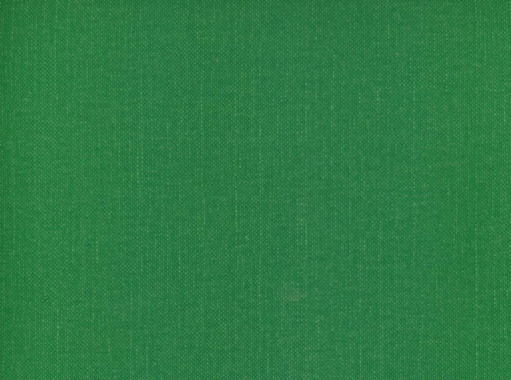 Frenzy Grass 321 by Norbar Designer Fabric FRENZY 60% COTTON 40% LINEN INDIA 54 - Swanky Fabrics -
