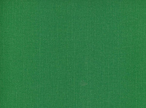 Frenzy Grass 321 by Norbar Designer Fabric