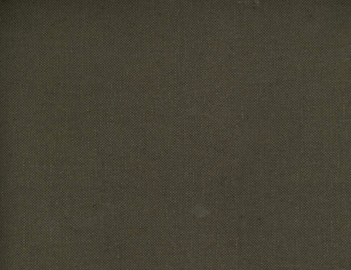 Frenzy Java 875 by Norbar Designer Fabric FRENZY 60% COTTON 40% LINEN INDIA 54 - Swanky Fabrics -