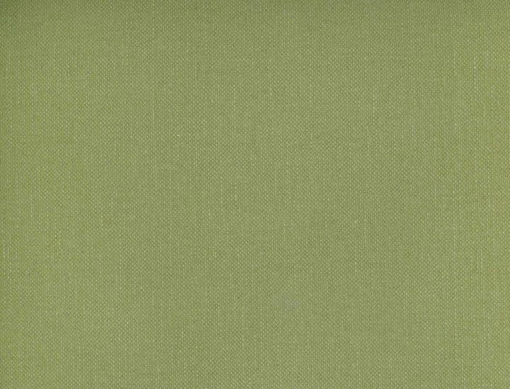 Frenzy Lichen 349 by Norbar Designer Fabric FRENZY 60% COTTON 40% LINEN INDIA 54 - Swanky Fabrics -