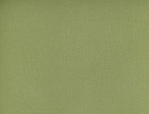 Frenzy Lichen 349 by Norbar Designer Fabric