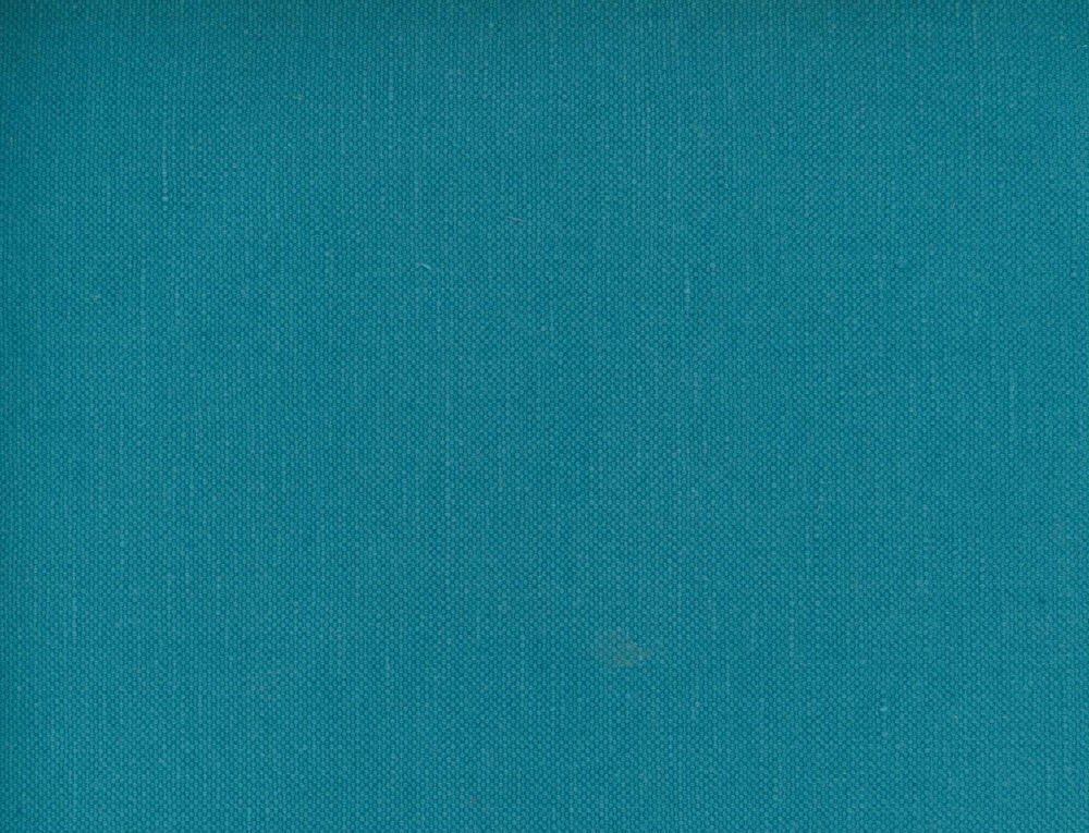 Frenzy Pacific 497 by Norbar Designer Fabric FRENZY 60% COTTON 40% LINEN INDIA 54 - Swanky Fabrics -