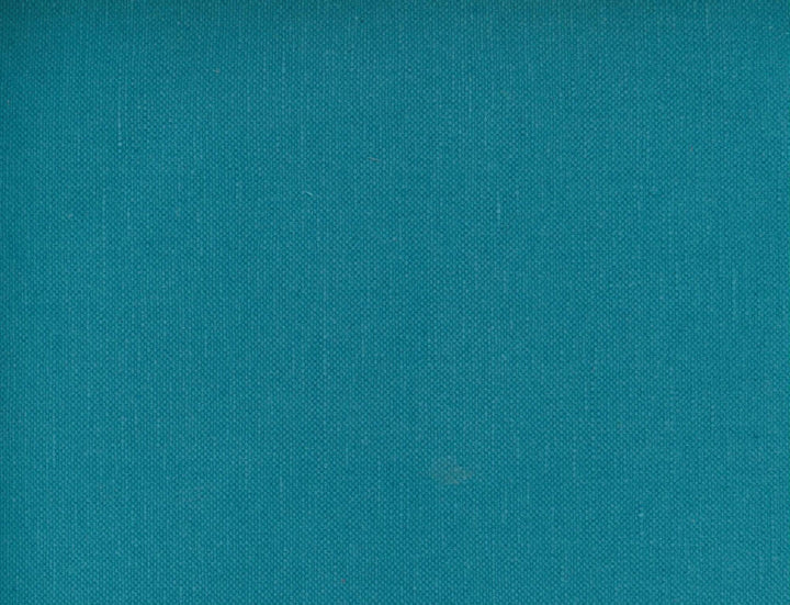 Frenzy Pacific 497 by Norbar Designer Fabric FRENZY 60% COTTON 40% LINEN INDIA 54 - Swanky Fabrics -