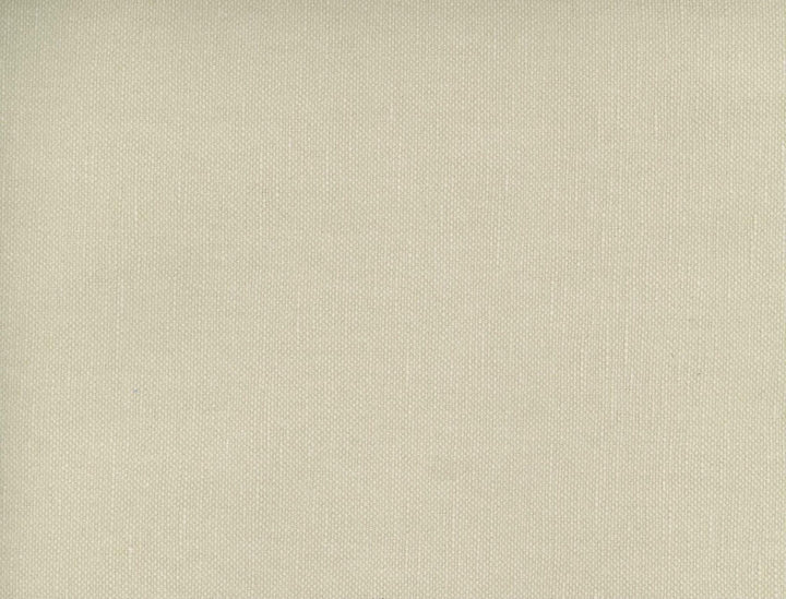 Frenzy Putty 205 by Norbar Designer Fabric FRENZY 60% COTTON 40% LINEN INDIA 54 - Swanky Fabrics -
