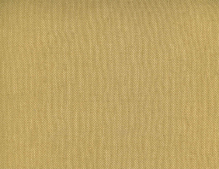 Frenzy Raffia 123 by Norbar Designer Fabric FRENZY 60% COTTON 40% LINEN INDIA 54 - Swanky Fabrics -