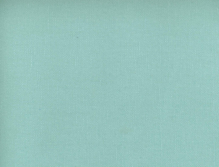 Frenzy Robins Egg 420 by Norbar Designer Fabric FRENZY 60% COTTON 40% LINEN INDIA 54 - Swanky Fabrics -