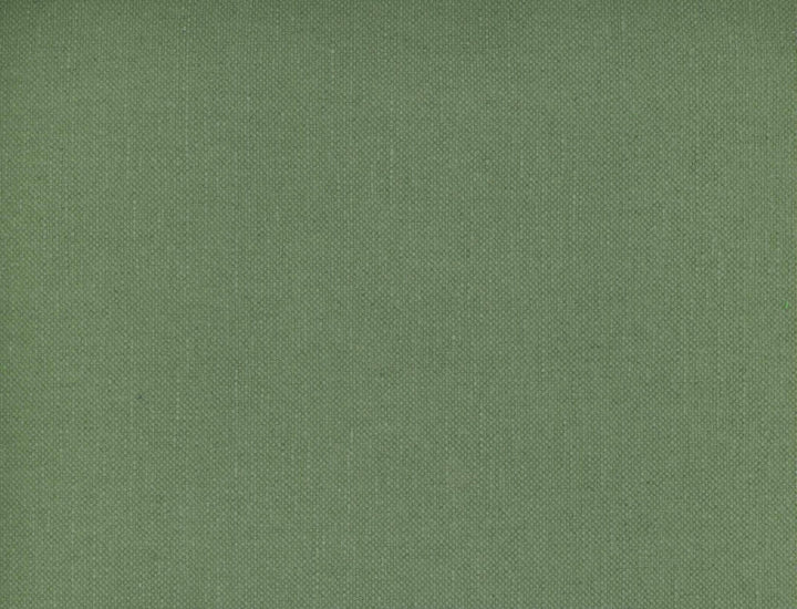 Frenzy Sage 316 by Norbar Designer Fabric FRENZY 60% COTTON 40% LINEN INDIA 54 - Swanky Fabrics -
