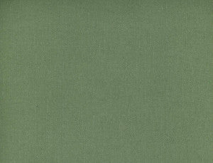 Frenzy Sage 316 by Norbar Designer Fabric