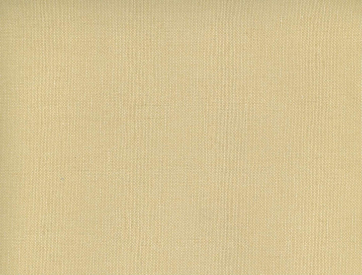 Frenzy Tahini 114 by Norbar Designer Fabric FRENZY 60% COTTON 40% LINEN INDIA 54 - Swanky Fabrics -