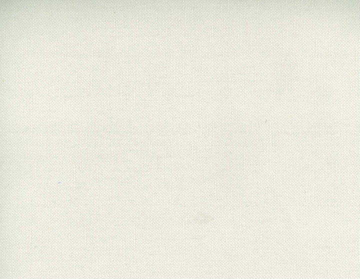Frenzy Talc 022 by Norbar Designer Fabric FRENZY 60% COTTON 40% LINEN INDIA 54 - Swanky Fabrics -