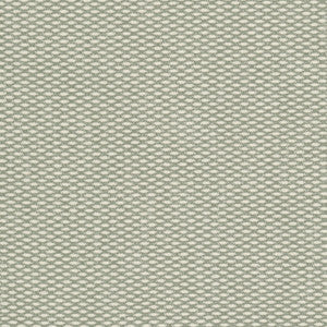 Fusion 1 Pear by Stout Designer Fabric