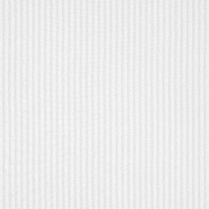 Darley Stripe Snow White FWW7141 by Thibaut Designer Fabric