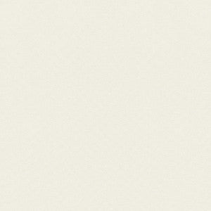 Asher Salt FWW81724 by Thibaut Designer Fabric
