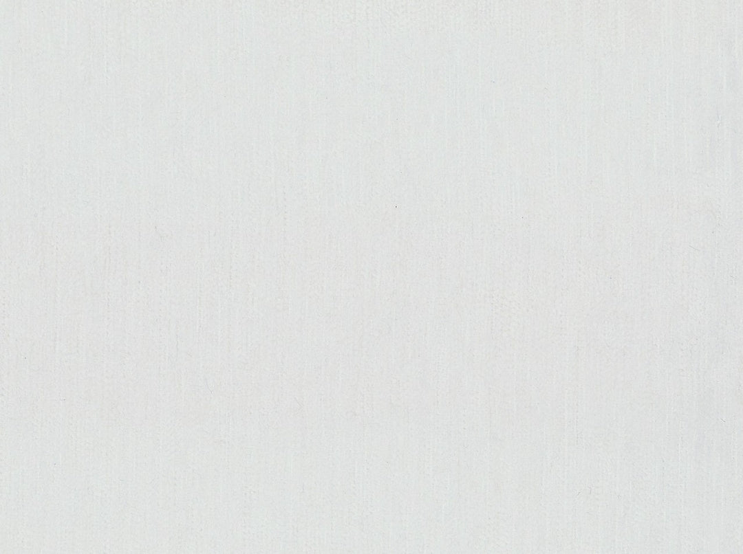 Fx-Saxony - Stain Repellent-Kiss Coat Backing 143 Optic White by Covington Designer Fabric