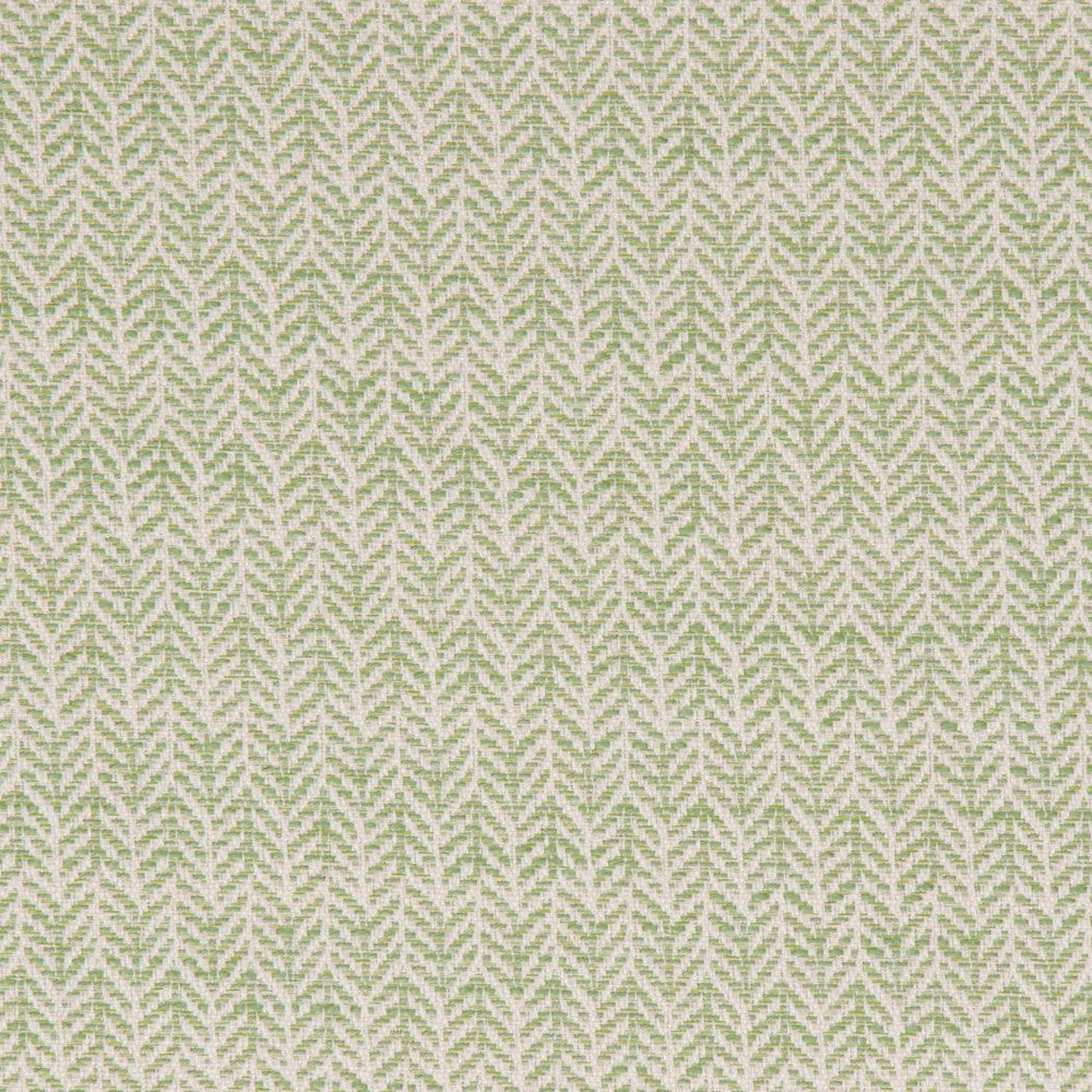 Festoon Lime by Bella-Dura Designer Fabric  100% HIGH UV POLYESTER USA 80,000 H: .75" V: 2" 56.25"  - Swanky Fabrics -