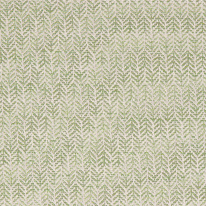 Festoon Lime by Bella-Dura Designer Fabric  100% HIGH UV POLYESTER USA 80,000 H: .75" V: 2" 56.25"  - Swanky Fabrics -